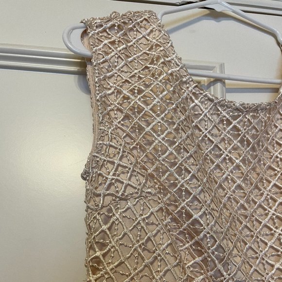 NWT Beige Lace Dress with Deep V Back - Picture 2 of 4
